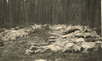 Ekshumowane ciała w Piaśnicy, 1946 r. Muzeum Miasta Gdyni